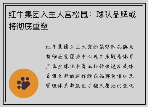红牛集团入主大宫松鼠：球队品牌或将彻底重塑