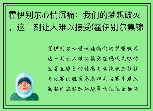 霍伊别尔心情沉痛：我们的梦想破灭，这一刻让人难以接受(霍伊别尔集锦)