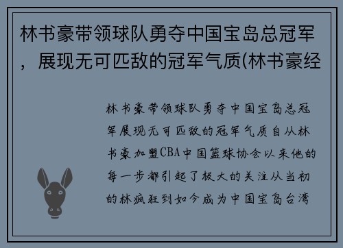 林书豪带领球队勇夺中国宝岛总冠军，展现无可匹敌的冠军气质(林书豪经典比赛)